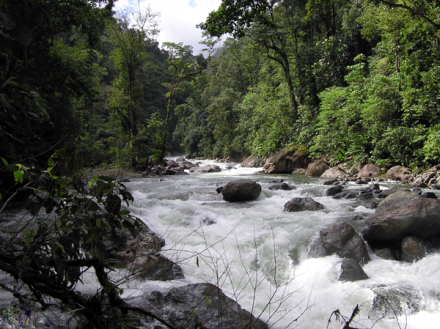de-bovenloop-rivier-nvc-web